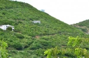 Cay Hill Development Acreage