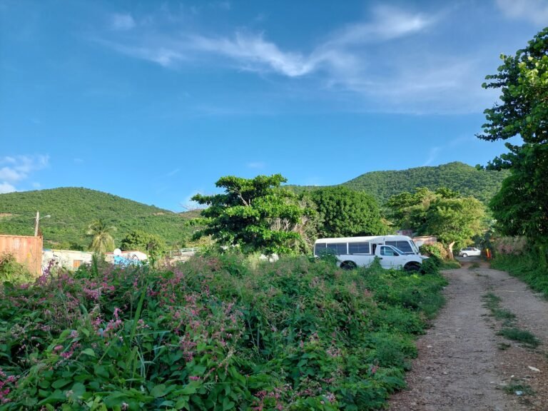 SOLD!   Large Flat Building Lot – Cole Bay