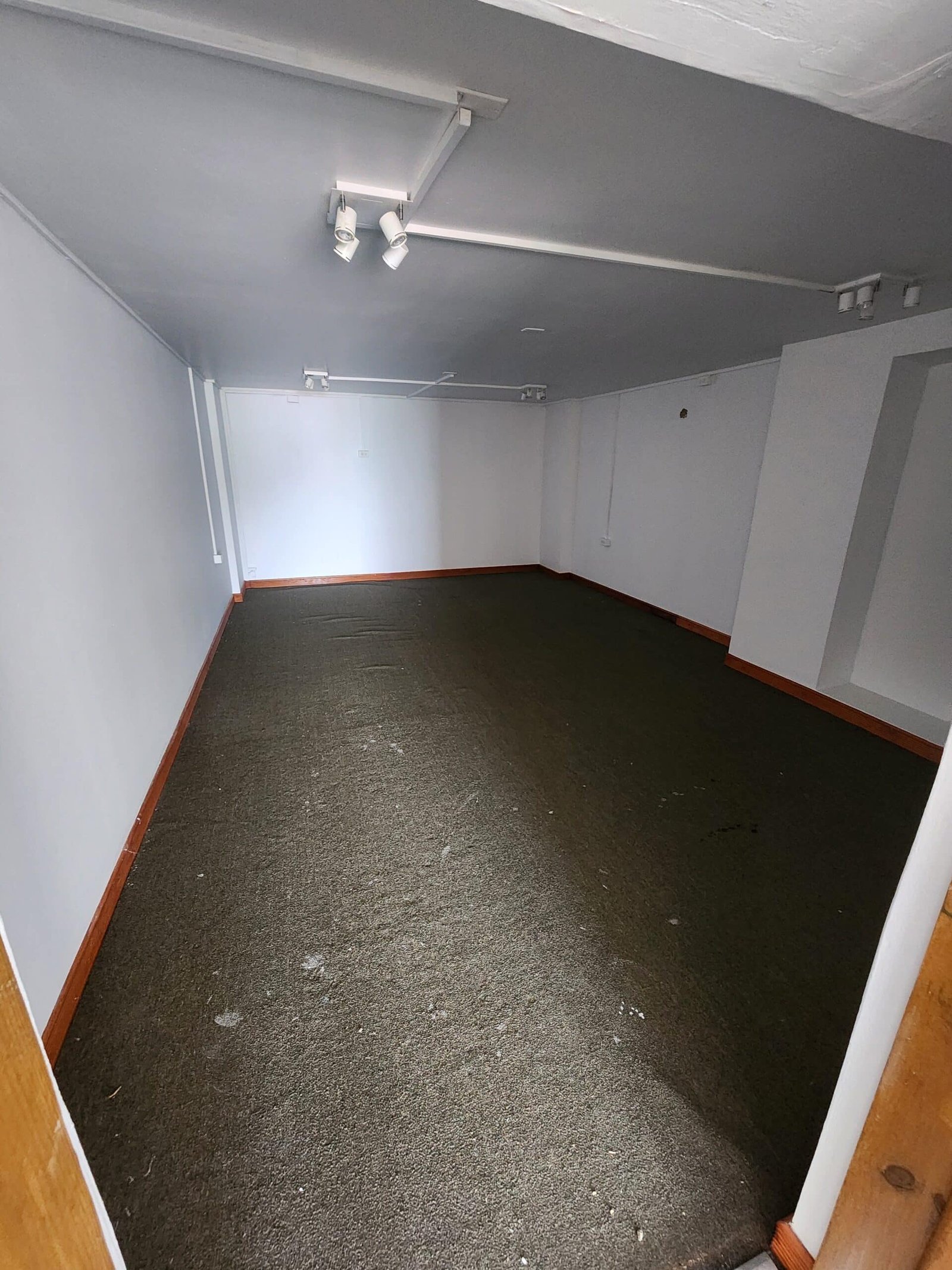 Empty rectangular basement room with gray walls, dark carpet, and wood baseboards; overhead track lighting installed on the ceiling.