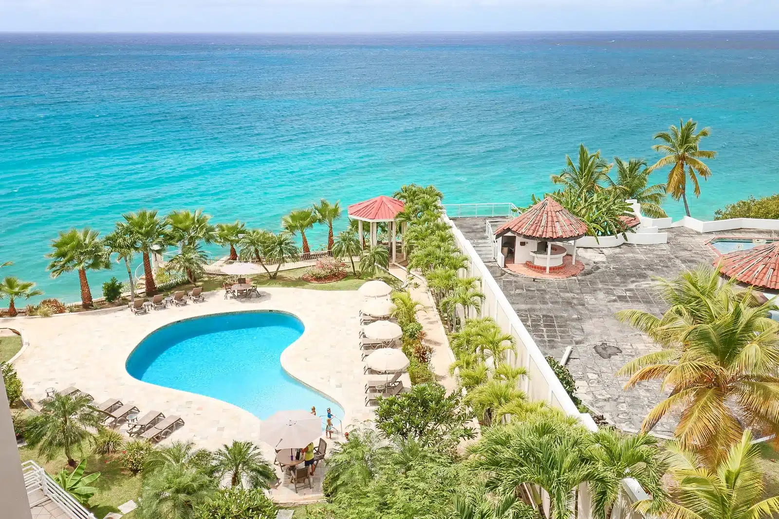 Tropical resort pool area with a curvy blue pool, lounge chairs, and palm trees overlooking a turquoise ocean.