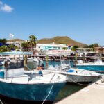 Boats docked at a sunny marina with blue water and hills in the background under a clear sky