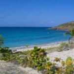 Tropical beach with turquoise water, white sand, and a palm tree, bordered by rocky hills under a clear blue sky.