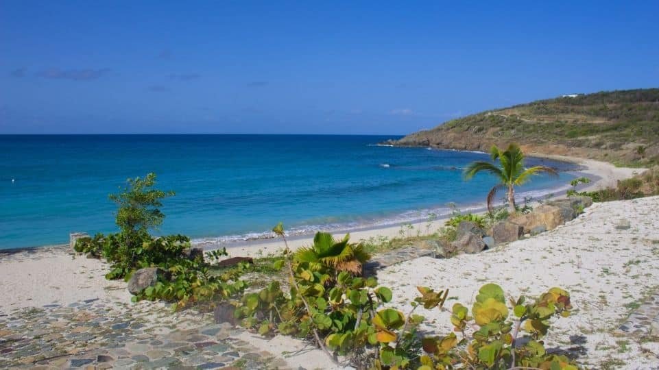 Tropical beach with turquoise water, white sand, and a palm tree, bordered by rocky hills under a clear blue sky.