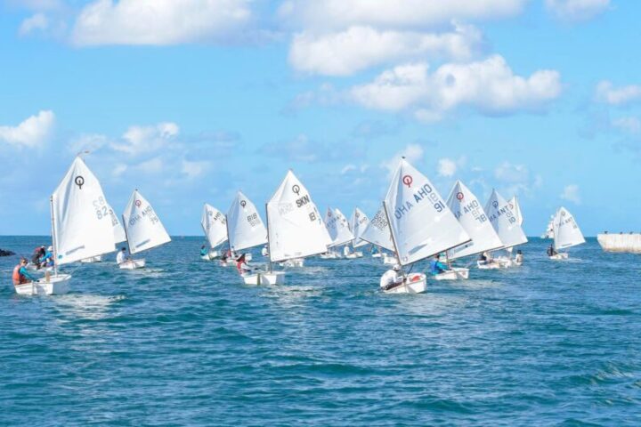 Group of small sailboats with white sails racing on blue water near a rocky jetty, sunny sky with a few clouds, and palm trees in the background.