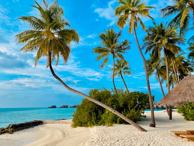 Tropical beach with tall palm trees, white sand, and turquoise sea under a bright blue sky; sundecks/huts in the distance.
