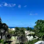 Sunny tropical scene with palm trees, white buildings, and a blue ocean horizon under a clear sky.
