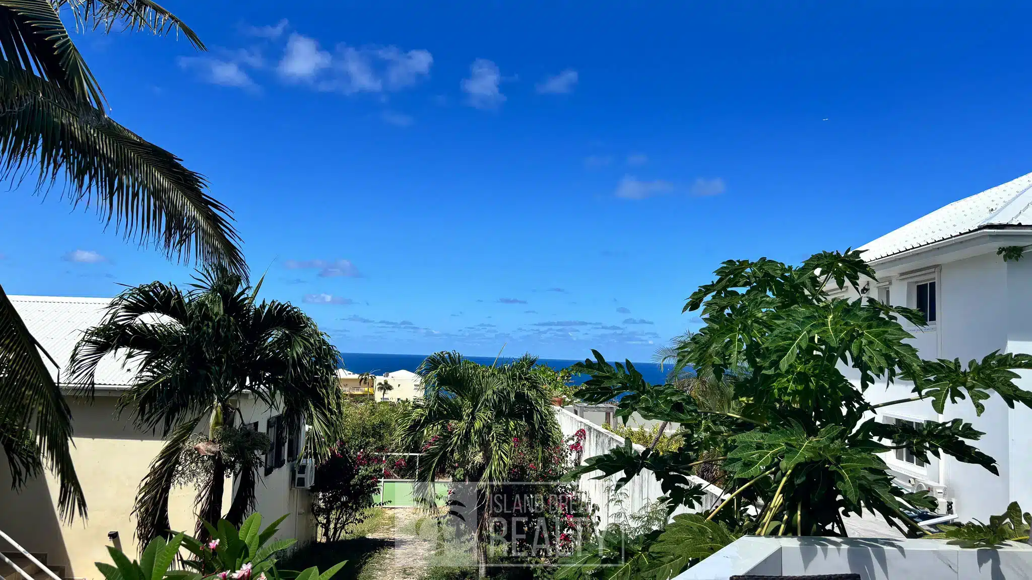 Sunny tropical scene with palm trees, white buildings, and a blue ocean horizon under a clear sky.