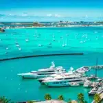 Turquoise harbor filled with moored sailboats and luxury yachts at a sunny marina, with palm trees in the foreground.